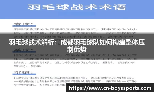 羽毛球战术解析：成都羽毛球队如何构建整体压制优势