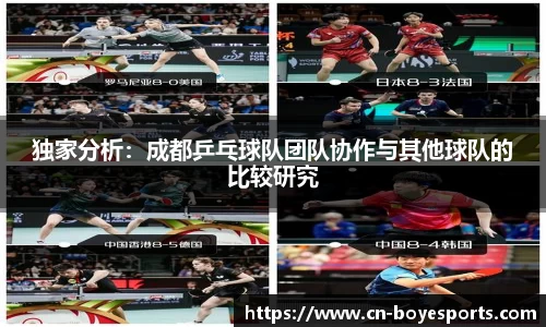 独家分析：成都乒乓球队团队协作与其他球队的比较研究